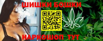 крисы Краснодар