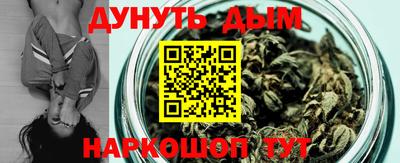 крисы Краснодар