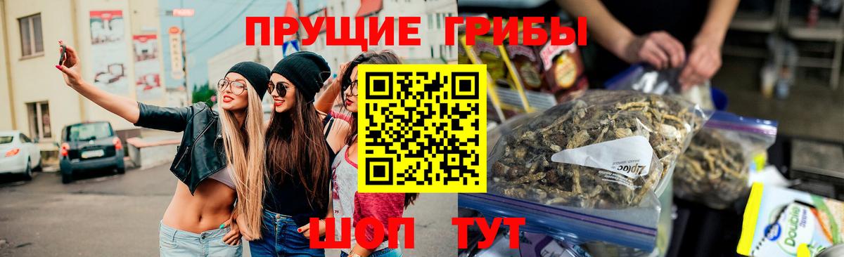Шадринск  Галлюциногенные грибы прущие грибы  купить   Вход с VPN 